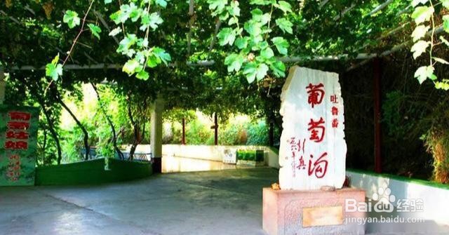 新疆有哪些好玩的5A景区