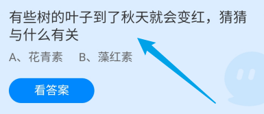 树的叶子到了秋天就会变红与什么有关?蚂蚁庄园