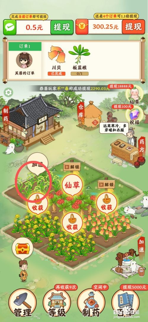 神农世家如何在农田种植柴胡药材