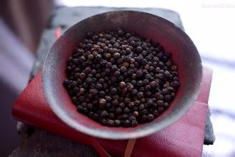 十种可当补品的日常食物