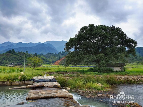 美图手机V4效果图