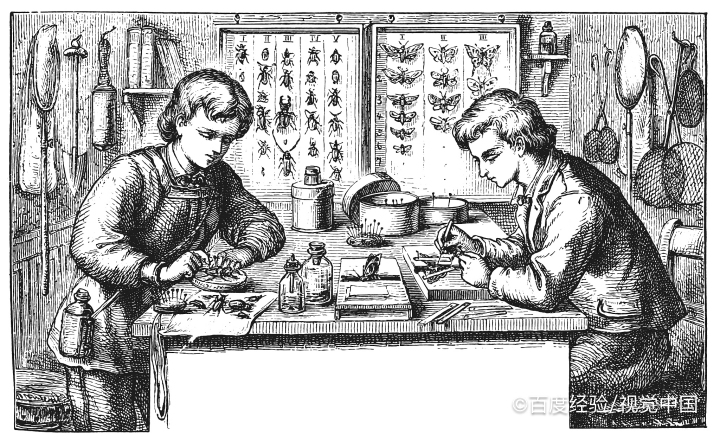 数学极限练习题及计算过程举例A17