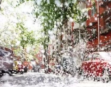 春天外出踏青要注意哪些问题