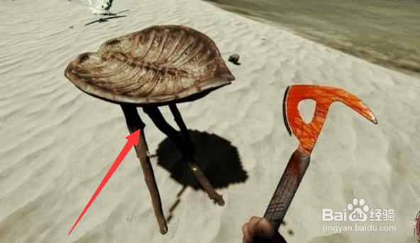 森林怎么收集水