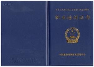 心理健康辅导员培训