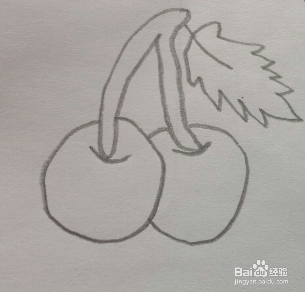 简笔画樱桃的画法5