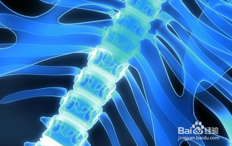 传染病学考试的重点有哪些？临床执业医师考试