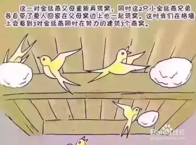 燕窝含有激素吗