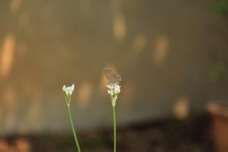 毕业生办理报道时应注意的一些事情
