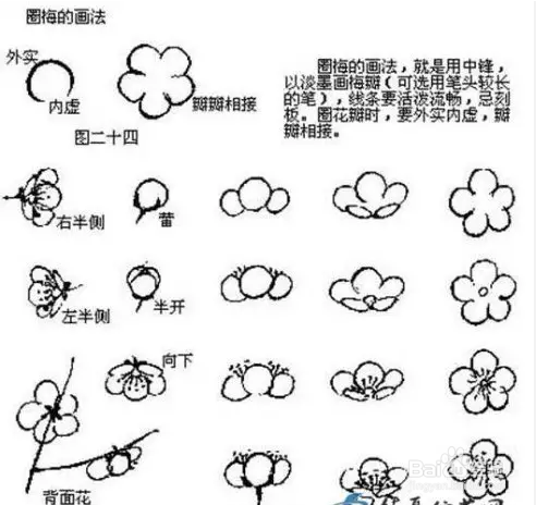 国画梅花的画法攻略