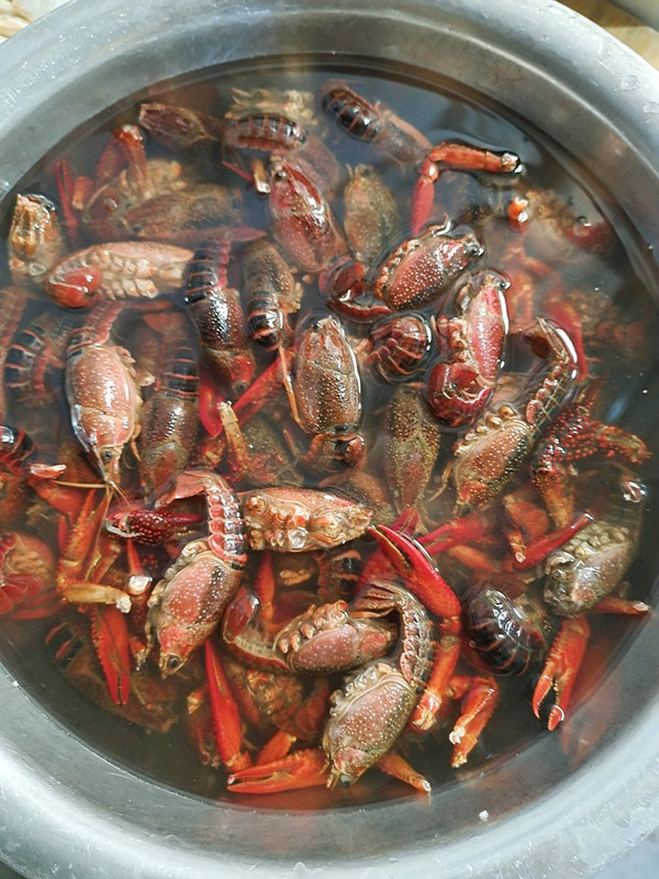 蒜蓉咖喱小龙虾