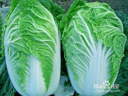 保护肾脏，应该吃哪些绿色食物？