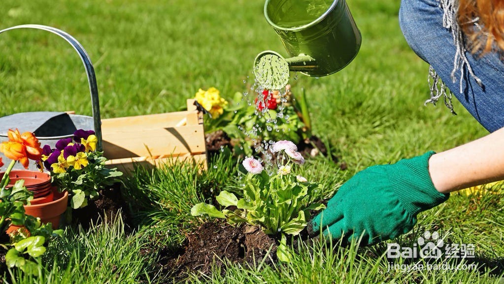 浇花用什么样的水好
