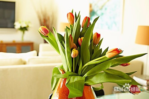 造成室内PM2.5超标的主要原因是什么？