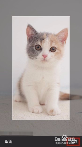 酷狗音乐如何设置自定义皮肤？