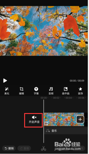 视频怎么消音人物对话