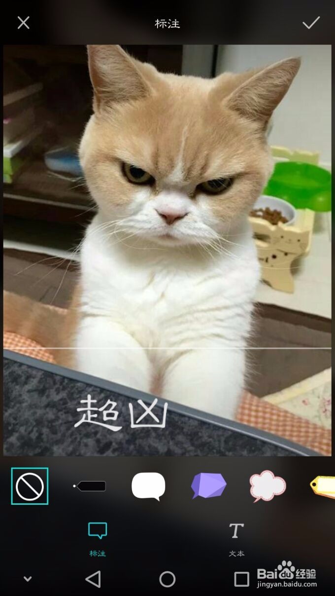 华为手机怎么给图片添加上文字