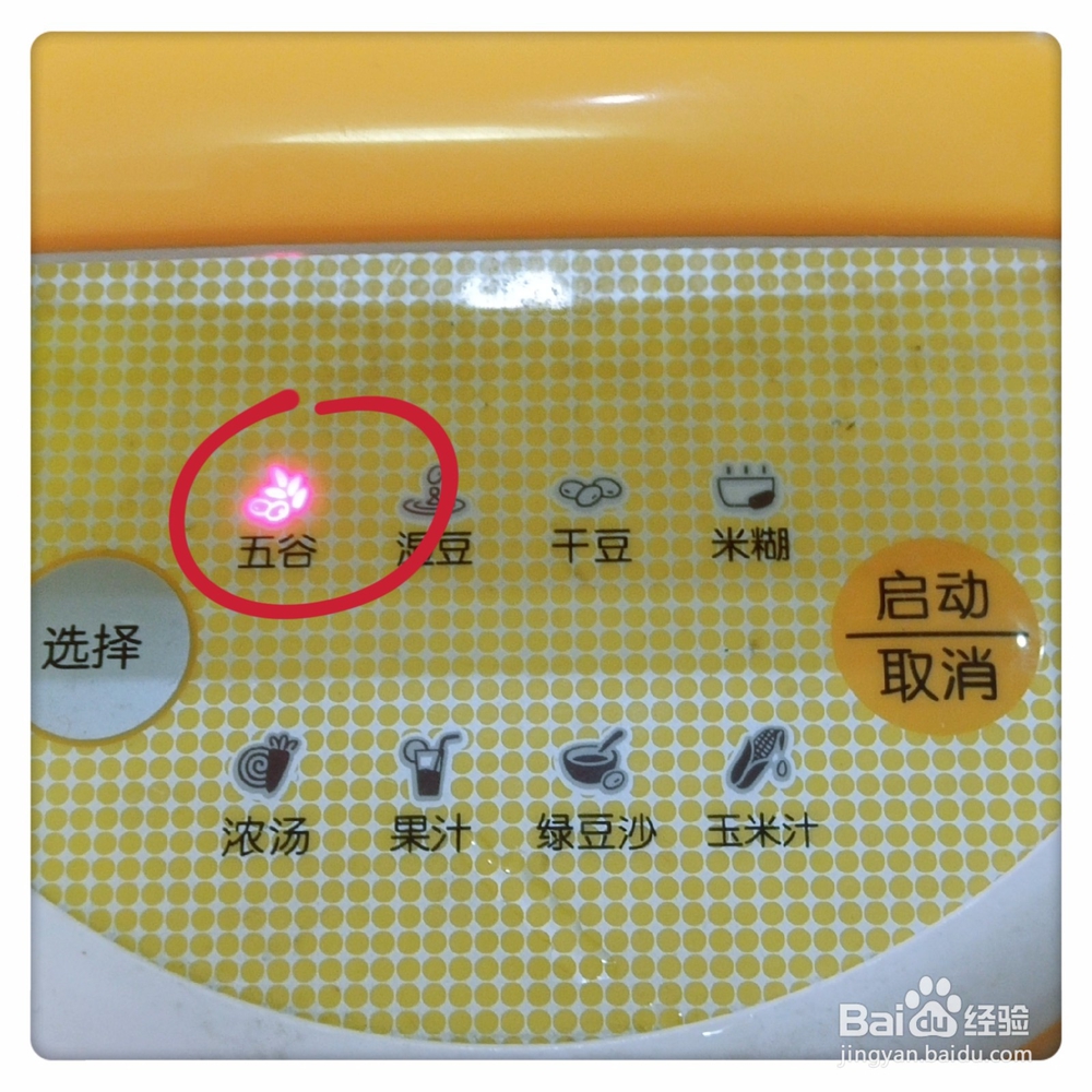 如何制作红豆薏米糊？