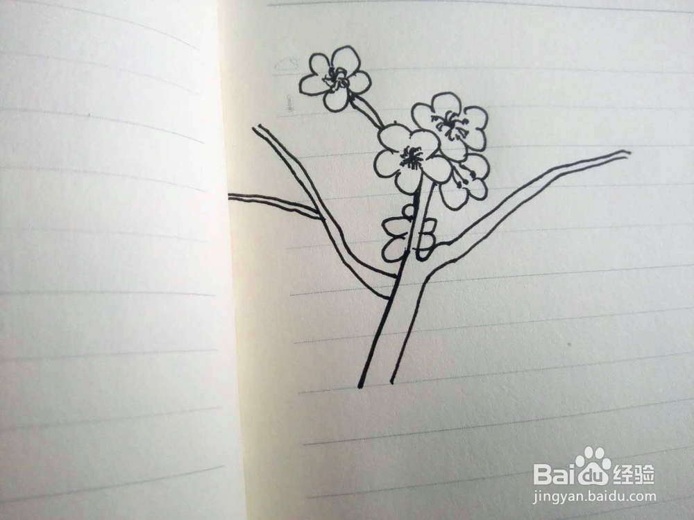 简笔画梅花的画法