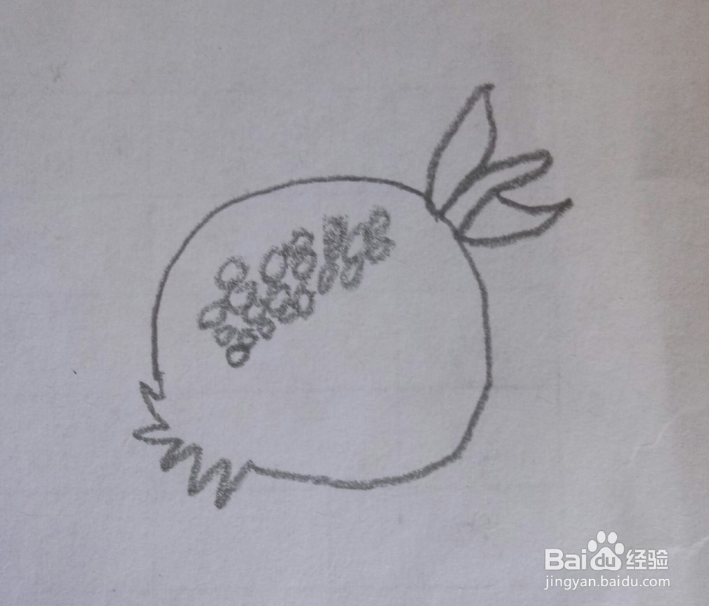 简笔画石榴的画法2