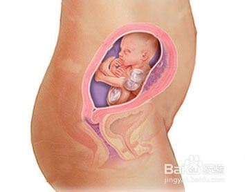 准妈妈应注意防止哪些环境伤害