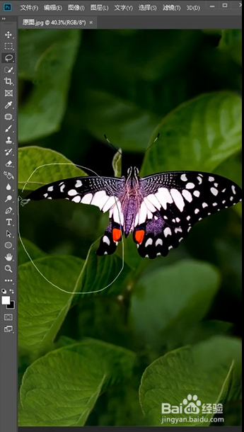 PS如何进行镜像填充