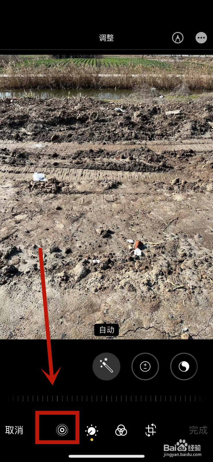 苹果13实况照片怎么截取其中一张