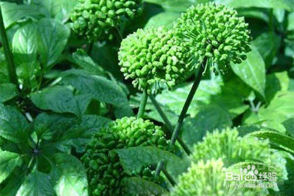 我们是不是生活的越来越好了？