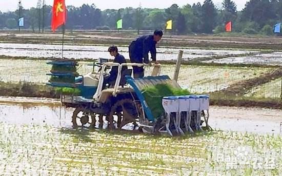 6个适合农村赚钱致富的好项目