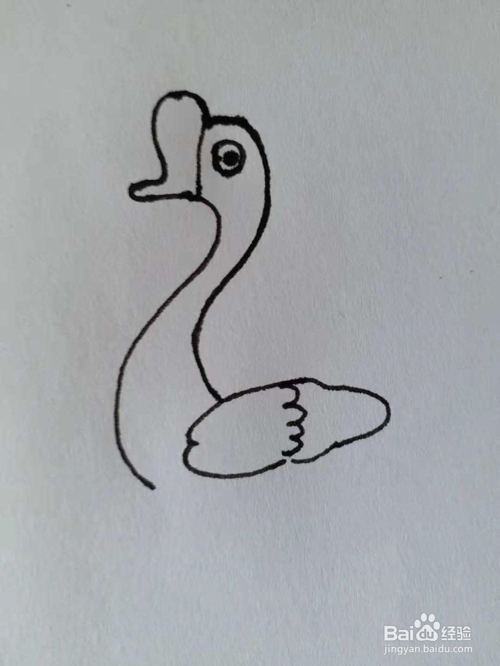 鹅的简笔画法《四》