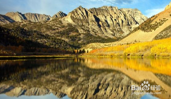 二元期权一分钟顺势而为，决胜千里之外