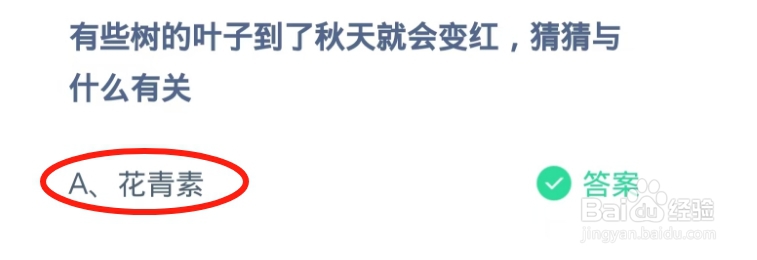 蚂蚁庄园2024.11.23题目正确答案