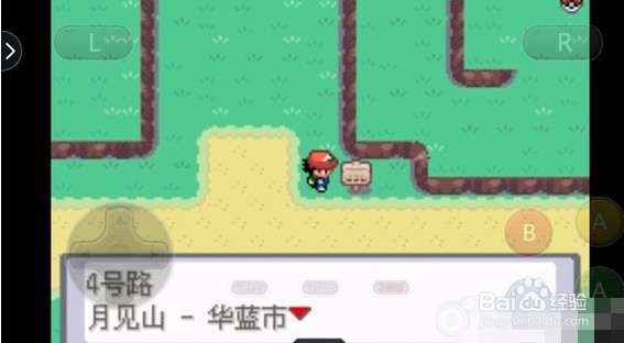 口袋妖怪圣灰攻略图片6