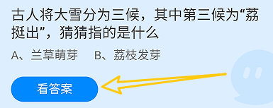 古人将大雪分为三候，第三候为荔挺出?蚂蚁庄园