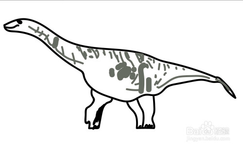 阿根廷龙简笔画