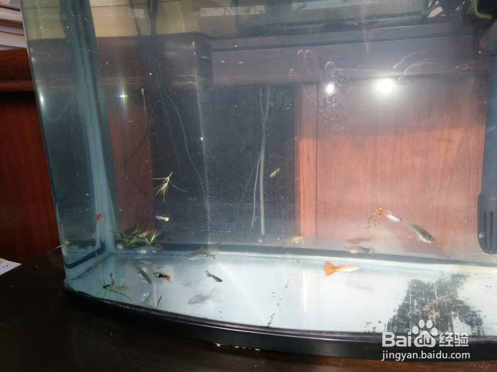 只要花一元钱就能解决大问题!