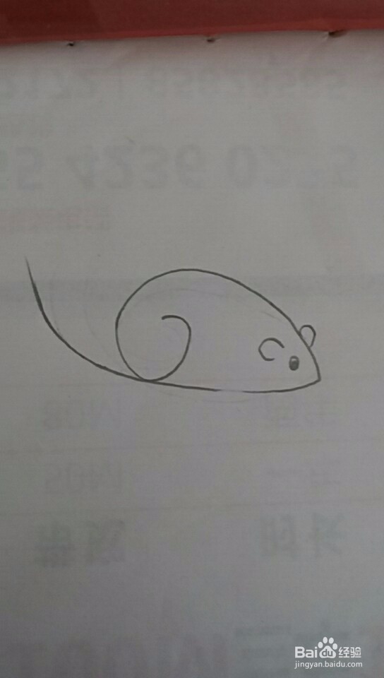 多妈简笔画最简单的老鼠画法