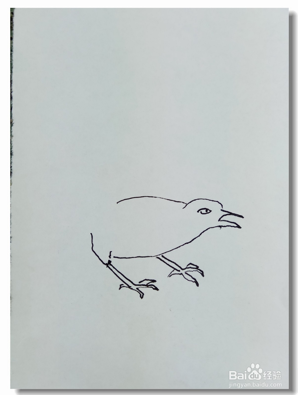 怎样画简笔画“枝头鸟”