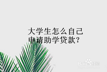 大学生怎么自己申请助学贷款