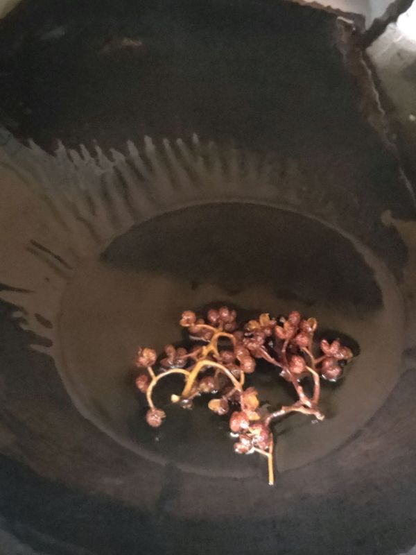 五花肉烧黄花鱼