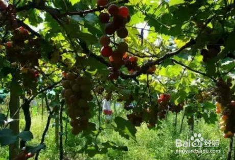 生活中的小诀窍