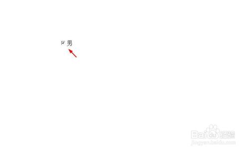 ppt如何添加可以打√的方框