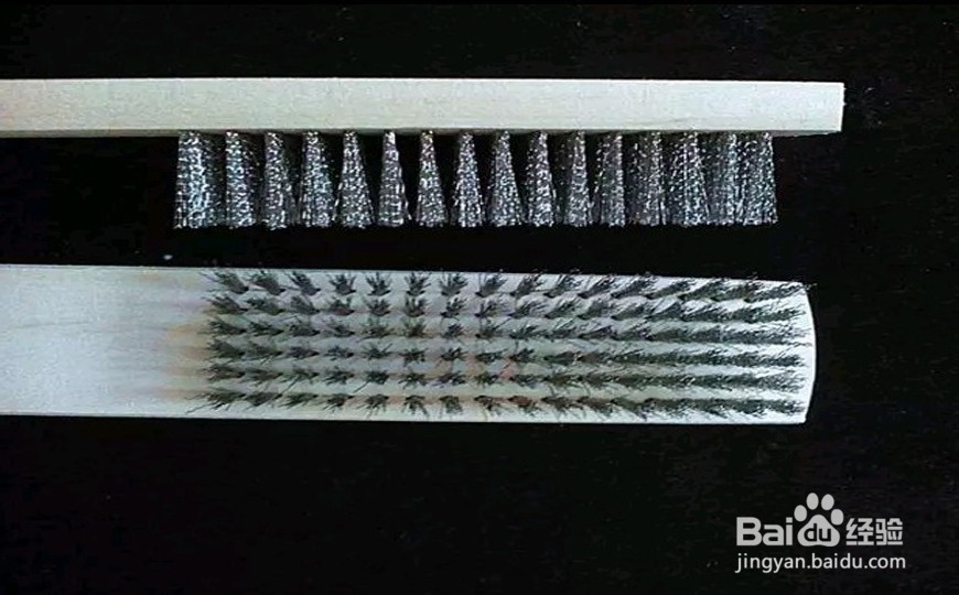 金刚菩提子如何养护