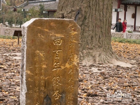颐和园风光游览技巧
