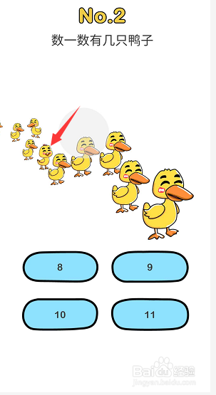脑洞大师哪个最大？谁最高？几只鸭子游戏攻略