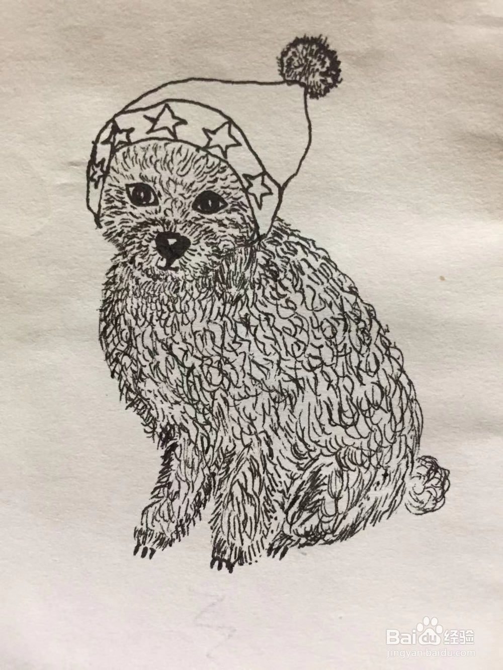 插画教程之圣诞泰迪狗