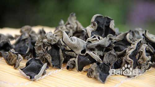 教您识别东北黑木耳