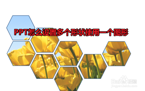 PPT怎么设置多个形状使用一个图形