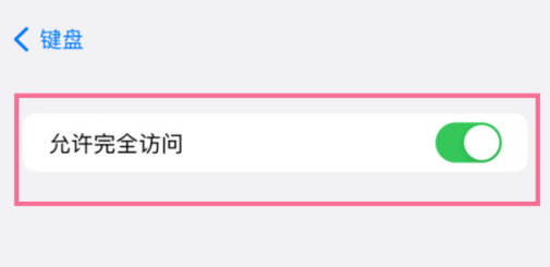 iPhone15怎么设置开启粘贴提示？