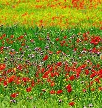 监理施工要点56